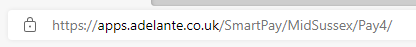 address-bar-showing-payment-url-and-padlock