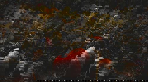 Be a Halloween superhero this year and recycle your pumpkin