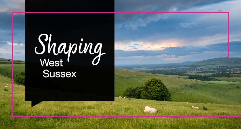 Local Government Reform: West Sussex Decision paused pending Government Review
