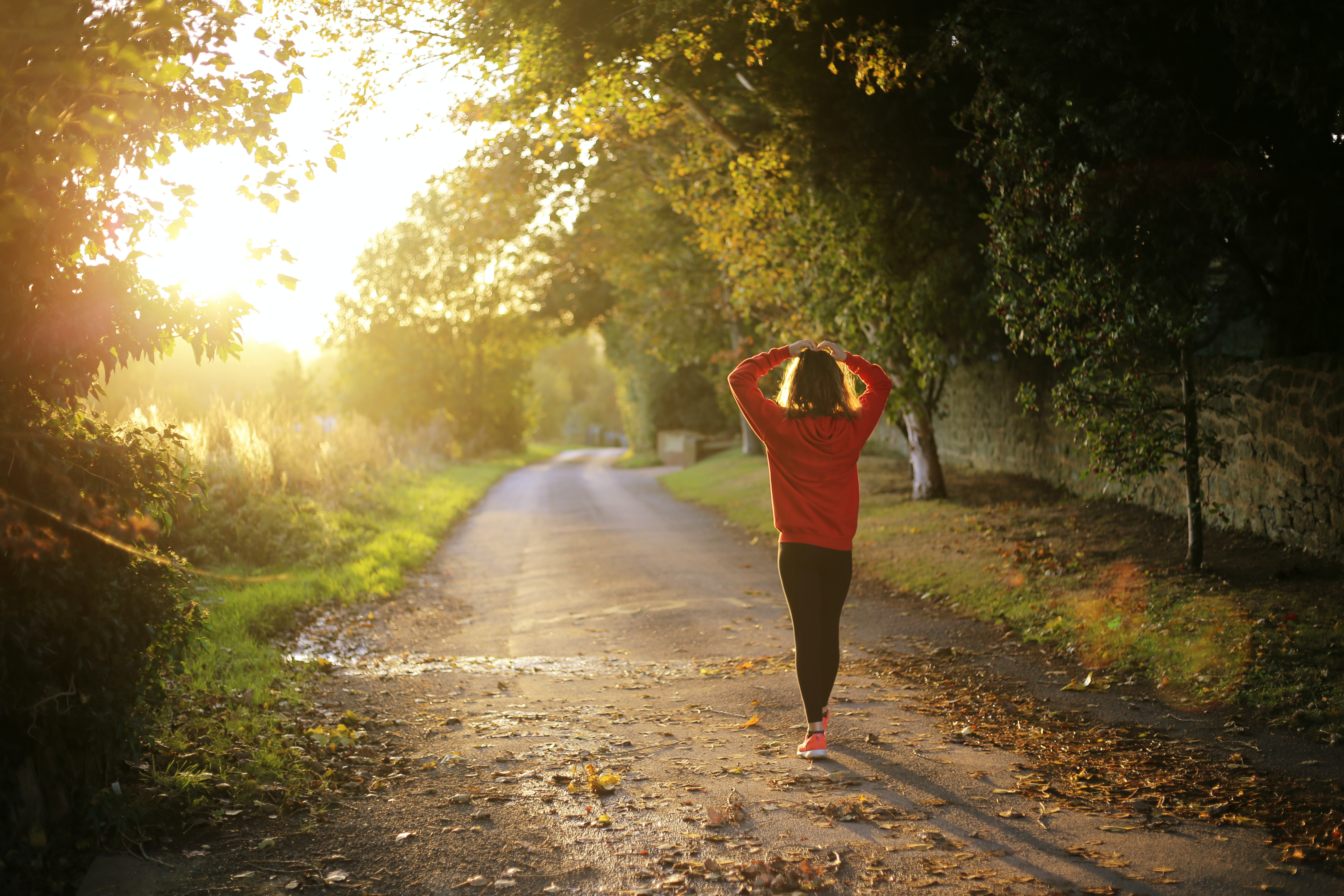 Mid Sussex District Council launch wellbeing campaign